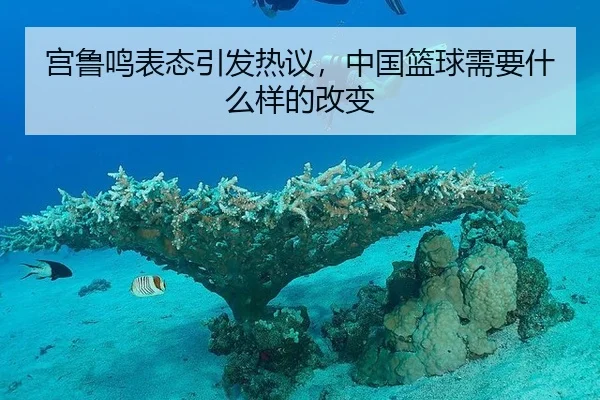 宫鲁鸣表态引发热议，中国篮球需要什么样的改变